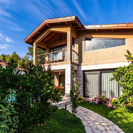 Volans Villa *